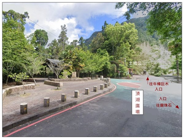 阿里山 頂湖步道 O遶一圈3088331