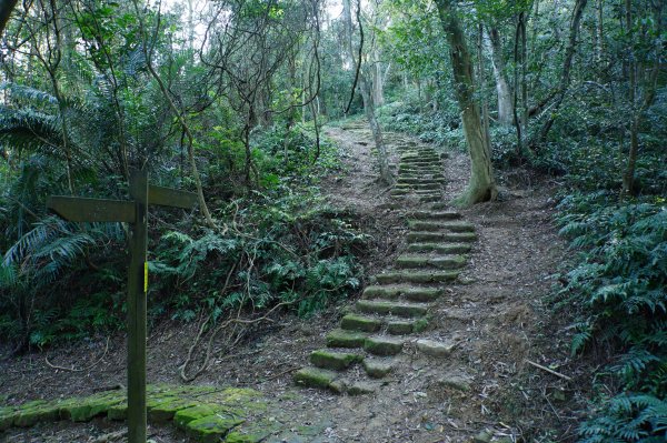 新北 三峽-土城 大暖尖山、火焰山、石門內尖山、十八羅漢岩、成福山3016618