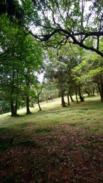 淡蘭古道南路（湖底嶺、四堵古道、溪畔古道）1433990