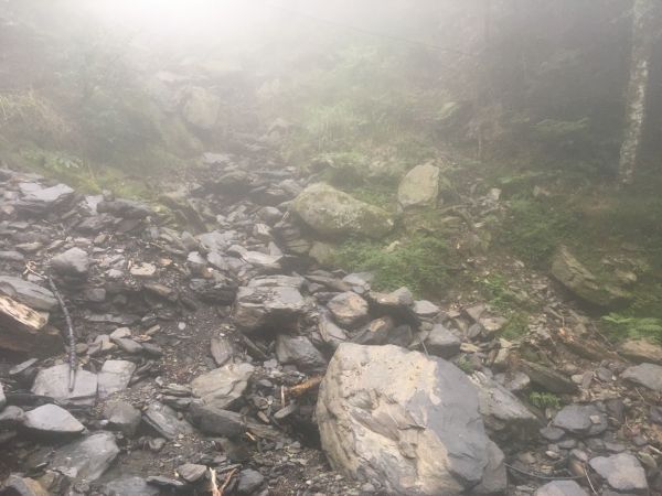 觀霧檜山巨木森林步道171736