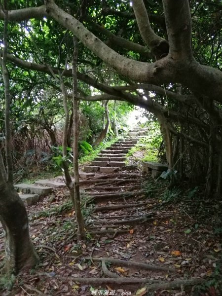 【新北。貢寮】壯麗海景。 龍洞灣岬步道1364898