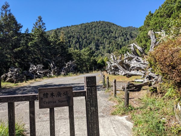 太平山國家森林遊樂區-蹦蹦車3137083