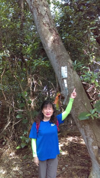 【臺北親山拓印趣】天母山天母古道白雲瀑布918665