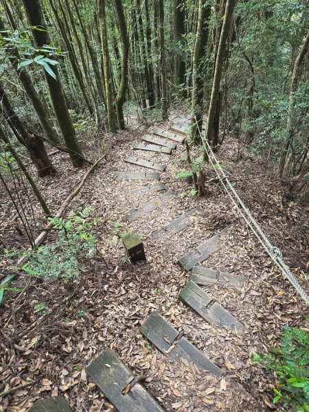 雪見遊憩區 探訪森林雪見之王2950856