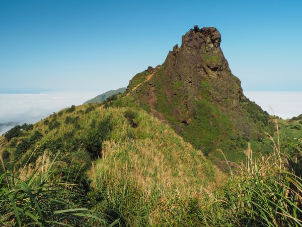 [新北]黃金三稜：無耳茶壺山、半平山、燦光寮山519354