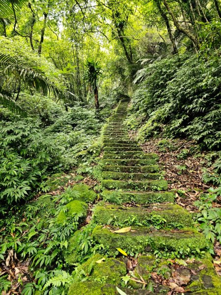 (五分山系)平溪小黃山-2025微笑山線大縱走尋寶集章任務2855286