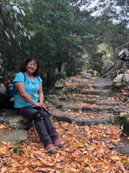 八仙山國家森林遊樂區527113