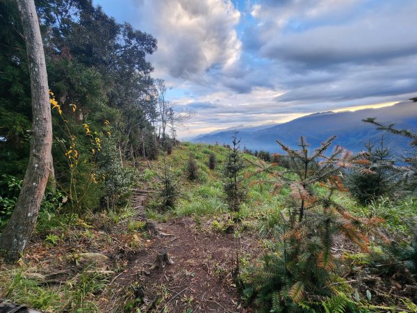 20250105鵝公髻山雲霧步道2726323