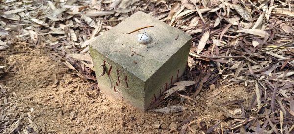 2026/03/08-毘盧禪寺步道+七星崗3013895