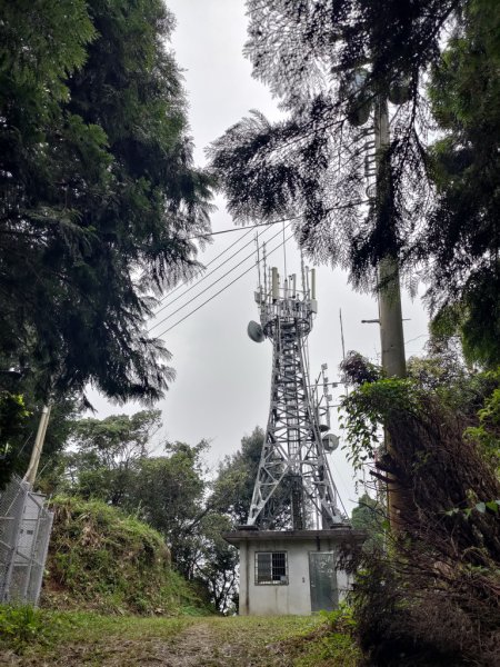 【新竹縣北埔鄉】五指山步道2833636
