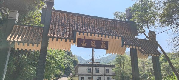 飛鳳山3120028