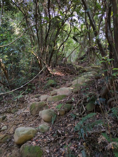 2023.11.01 蓮華山古道群2489008