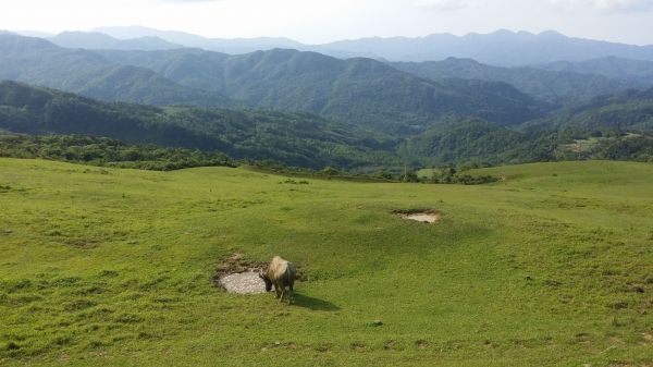 貢寮 桃源谷125264