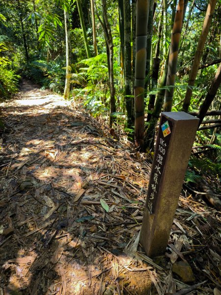 2024-08-22 澀水森林步道2578458