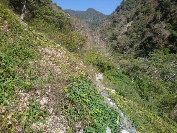 屋我尾山(麗陽線)821165