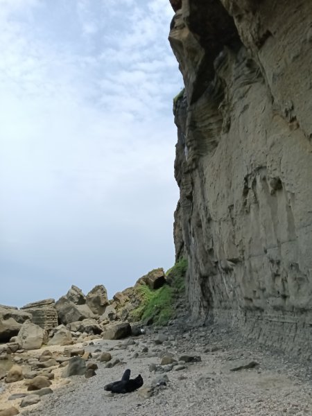 瑞芳區神秘海岸+鼻頭角燈塔+鼻頭角稜谷步道O型2760140