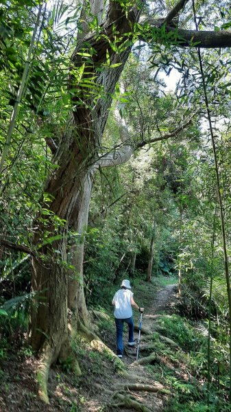 《新竹》竹林紙寮｜芎林文林古道O繞202308132248907