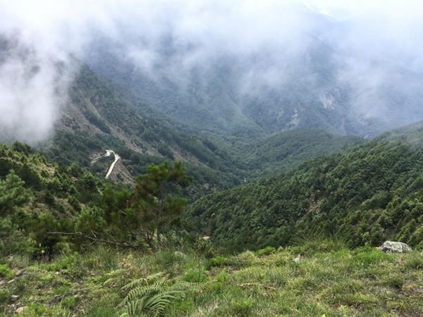 麟趾山388532
