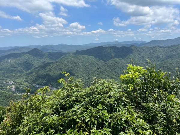 20230705_平溪薯榔尖、國旗嶺步道2762606