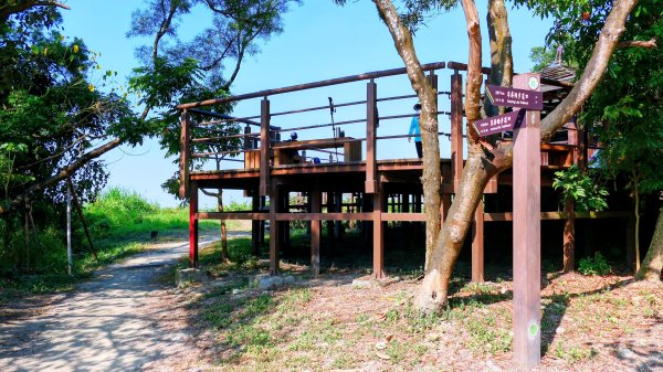 左營半屏山2954329