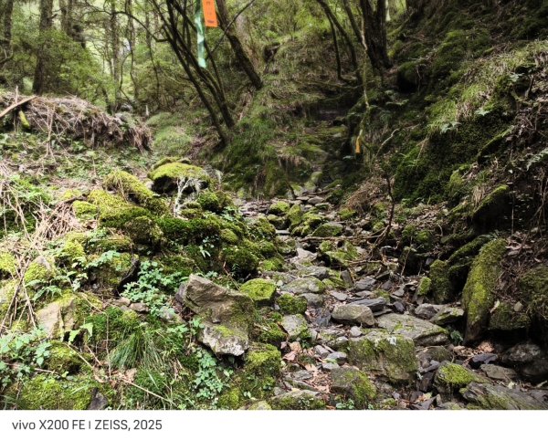 北一段(04/14)中央尖山 2025_0906~132885408