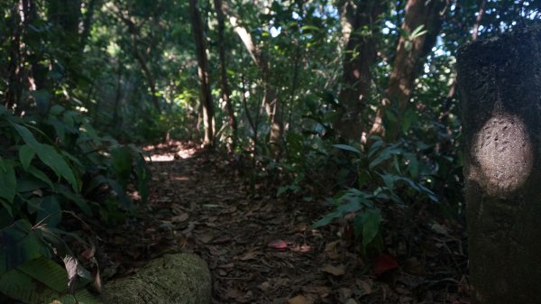 打鐵寮 草嶺山 石龜坑山 白石山連走1265222