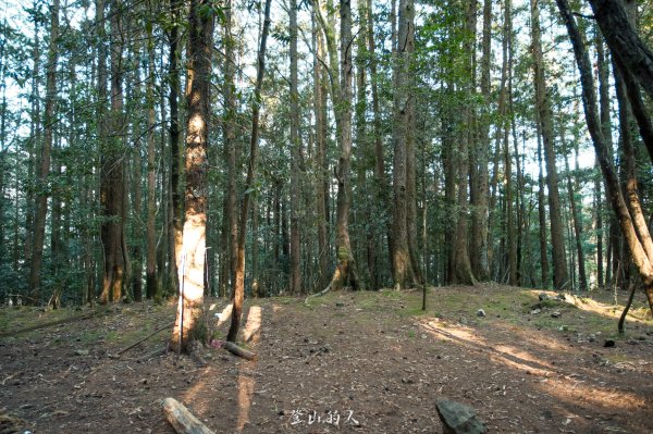 霞山鐵道野營2843101