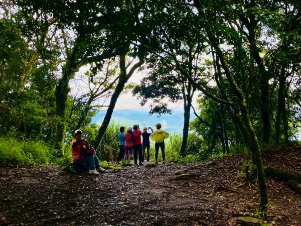 🌈8/2(六）鵝公髻山（小百岳）+北埔冷泉消暑+北埔老街美食✨FB：熊熊趴爬走🌈2852267