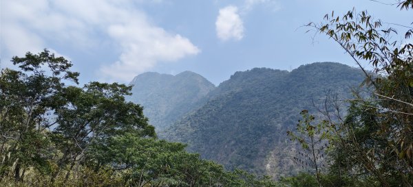 2026/03/15 白冷山步道3016812