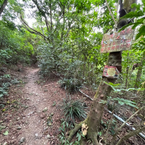 20251130_棚集山+斜坡上藝術節（屏東小百岳）2968599