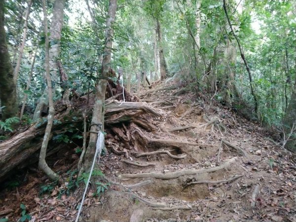 石壁山 好望角 嘉南雲峰 O型 南側進813384