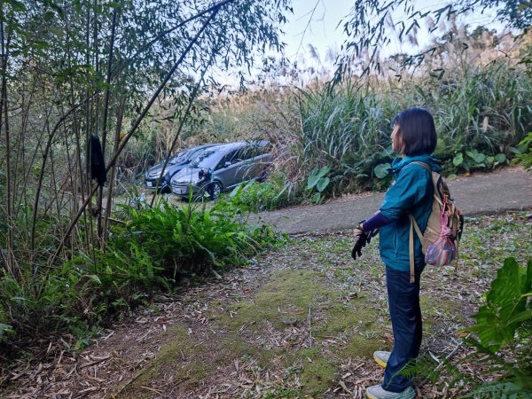 嘎色鬧登那結山2392528