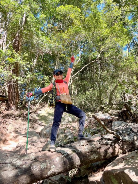 【谷關七雄】波津加(H1771.6m)肉腳配速成功2670573