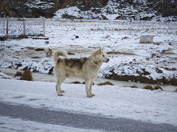 [紐約馬之行-33] 2025_1106 峽灣遊客中心2947941