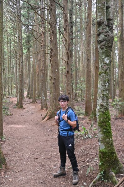 中級山-高島縱走2888392