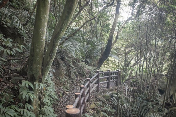 馬胎古道 （馬胎一期、南坪古道、內灣老街）3073874