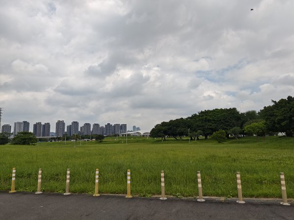 [跟著2025雙北世壯運探索雙北市-1/21] 2025_0607 飛盤競技道（華江雁鴨河濱步道）2807799