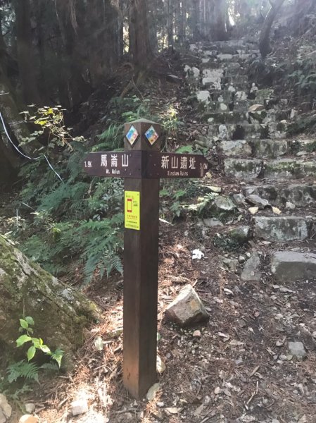 谷關七雄  老二  馬崙山  郊遊1469059