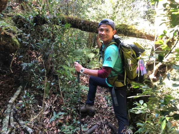 李崠山.泰平山.馬望僧侶山O型步道【防疫878735