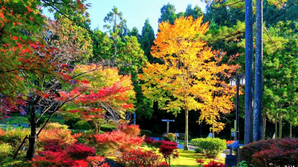 秋田縣八望台與生剝博物館2929748
