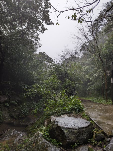 2023-12-23 臺北大縱走第二段2793128