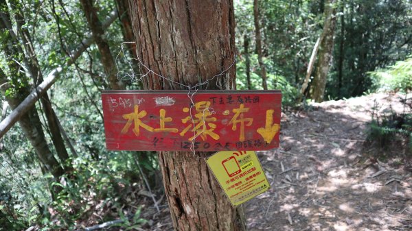 澀水森林步道登山健行趣(步道)2259838