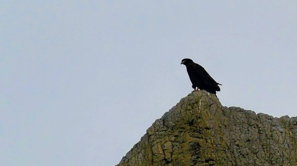 田寮月世界2954562