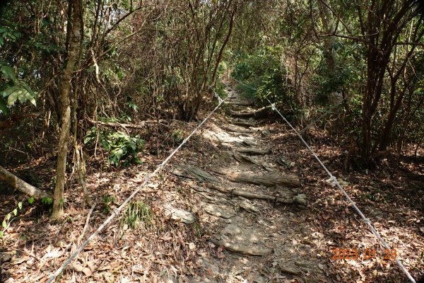 屏東 三地鄉 三地山、三地山南峰2020503