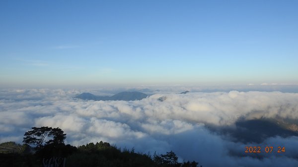 最高小百岳-大塔山2663M&阿里山二延平步道1775026