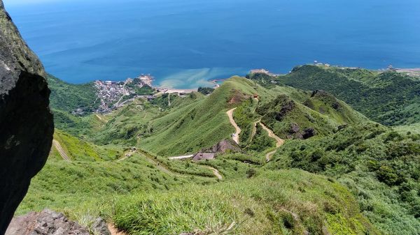 燦光寮山、黃金三稜141649