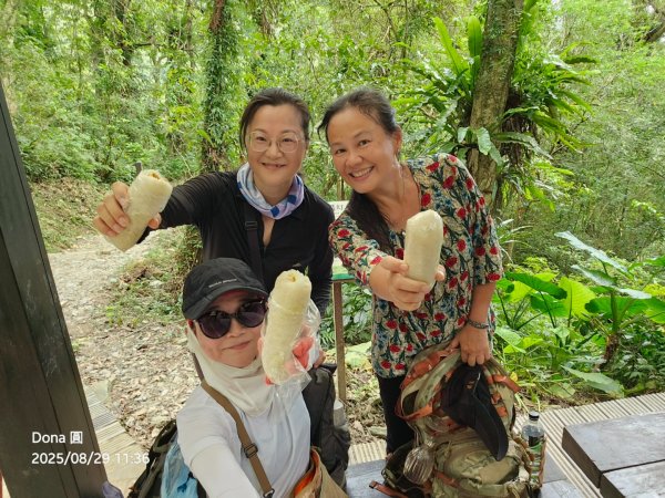 小百岳三角崙山(東南峰)全紀錄2879910