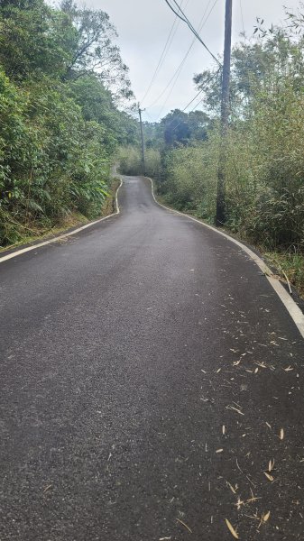 2025-01232淡蘭古道北二段(燦光寮古道到澳底)2696649