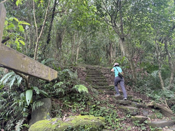 天上山+大棟山 2025.07.202864417