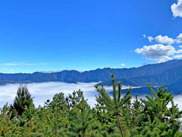 天山.雪霸農場.野馬瞰山.山上人家悠遊1164491